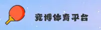 使用指南与常见问题